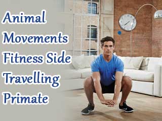 Animal movements fitness side travelling primate